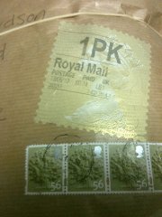 1pkle1