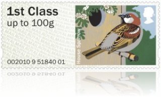 House Sparrow