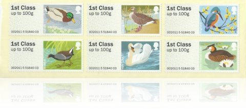 birds3
