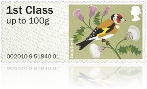 Goldfinch