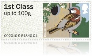 House Sparrow