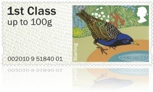 Starling