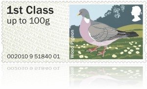 Wood Pigeon